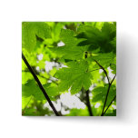 Maple Leaves with Raindrops Button