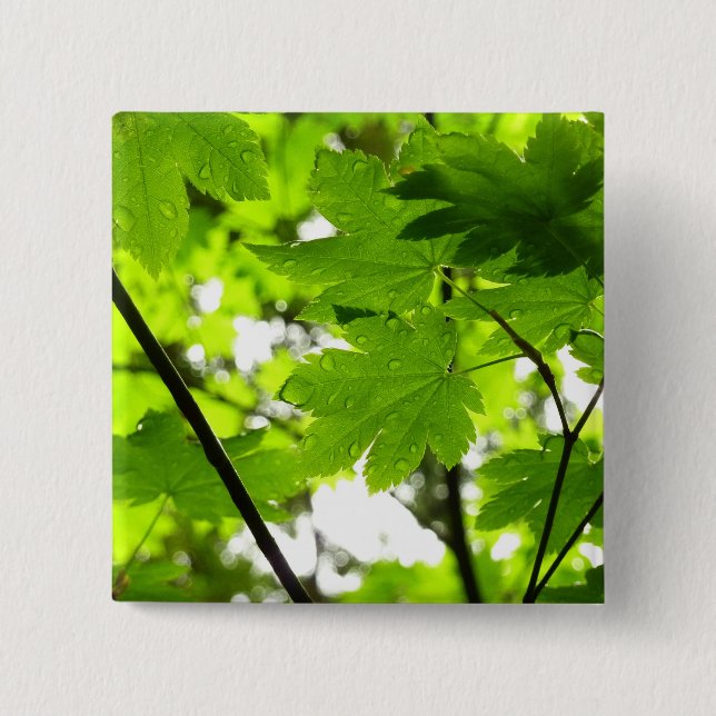 Maple Leaves with Raindrops Button (Front)