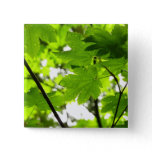 Maple Leaves with Raindrops Button