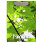 Maple Leaves with Raindrops Clipboard