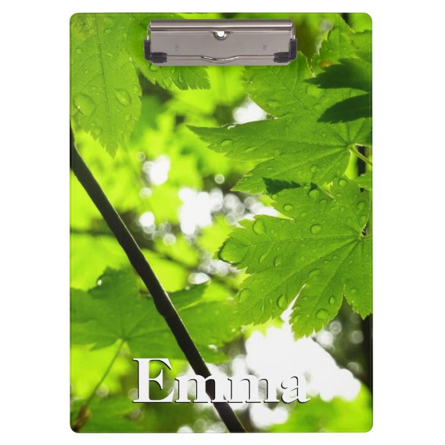 Maple Leaves with Raindrops Clipboard (Front)