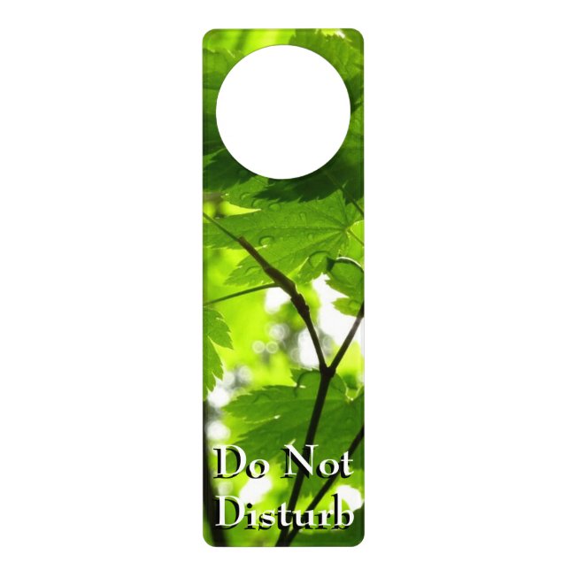 Maple Leaves with Raindrops Door Hanger (Front)