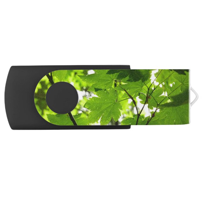 Maple Leaves with Raindrops Flash Drive (Front)
