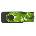 Maple Leaves with Raindrops Flash Drive