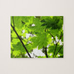 Maple Leaves with Raindrops Jigsaw Puzzle