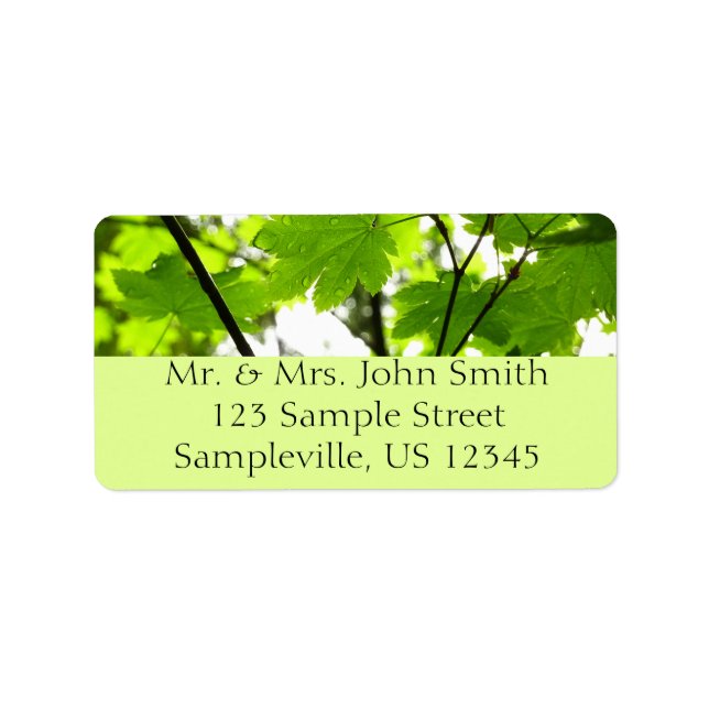 Maple Leaves with Raindrops Label (Front)