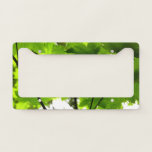 Maple Leaves with Raindrops License Plate Frame
