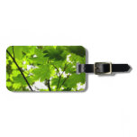 Maple Leaves with Raindrops Luggage Tag