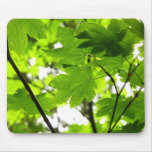 Maple Leaves with Raindrops Mouse Pad