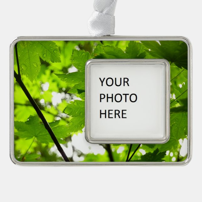 Maple Leaves with Raindrops Ornament (Front)