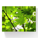 Maple Leaves with Raindrops Paperweight