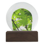 Maple Leaves with Raindrops Snow Globe