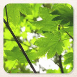 Maple Leaves with Raindrops Square Paper Coaster