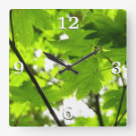 Maple Leaves with Raindrops Square Wall Clock