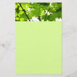 Maple Leaves with Raindrops Stationery