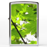 Maple Leaves with Raindrops Zippo Lighter