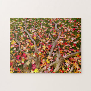 Maple Leavs Jigsaw Puzzle