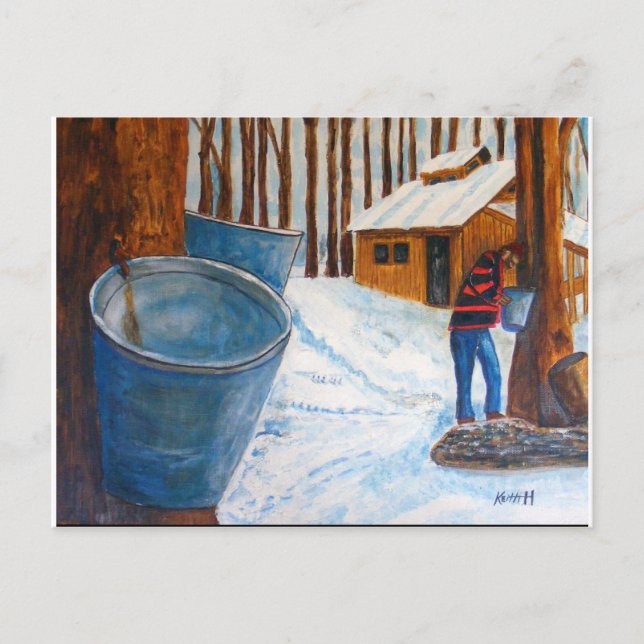 Maple Sugar Bush Postcard (Front)