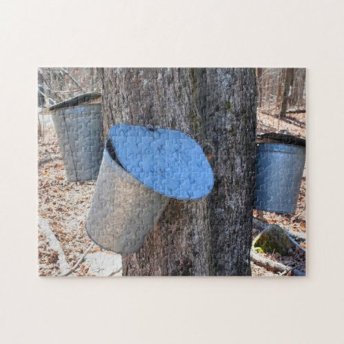 Maple Sugar Sap Buckets On Tree Nature Jigsaw Puzzle