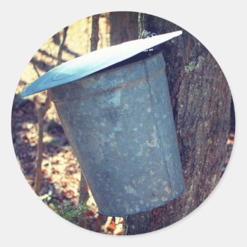 Maple Syrup Sap Bucket Nature  Classic Round Sticker by SmilinEyesTreasures at Zazzle