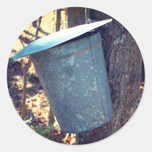 Maple Syrup Sap Bucket Nature  Classic Round Sticker