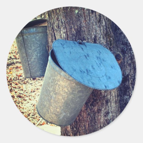 Maple Syrup Sap Buckets Nature Classic Round Sticker