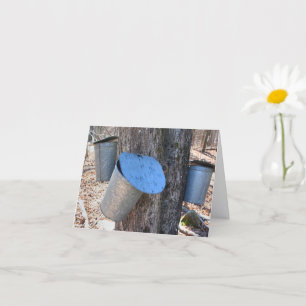 Maple Syrup Sap Buckets Nature Photography Note Card