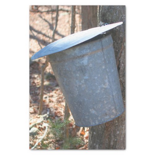 Maple Syrup Sugar Sap Bucket On Tree Decoupage Tissue Paper