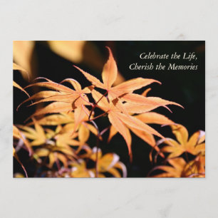 Maple Tree 1 Celebration of Life Memorial service Invitation