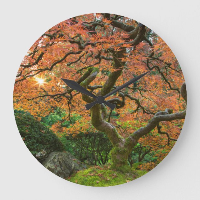 Maple Tree At The Japanese Gardens In Autumn Large Clock (Front)