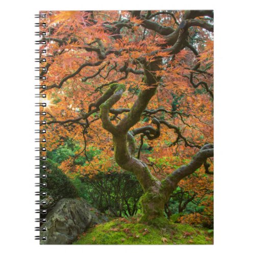 Maple Tree At The Japanese Gardens In Autumn Notebook