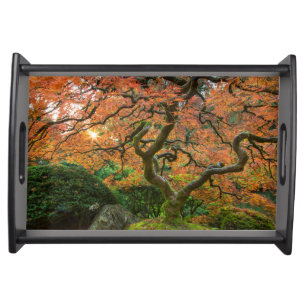 Maple Tree At The Japanese Gardens In Autumn Serving Tray