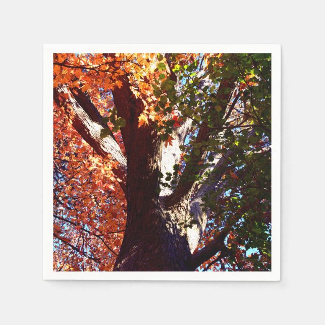 Maple tree forest leaves autumn botanical  napkins (Front)
