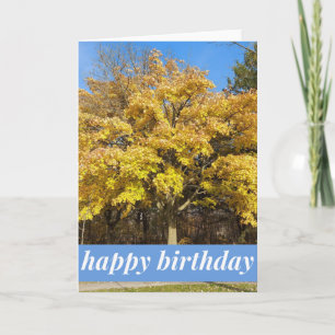Maple Tree in Autumn Birthday Card