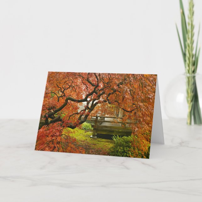 Maple Tree in Japanese Garden Photo Greeting Card (Front)