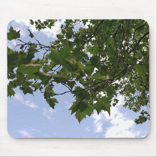 Maple tree  mouse pad