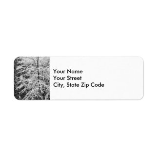 Maple Tree Outlined In Snow address label