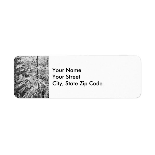 Maple Tree Outlined In Snow address label (Front)