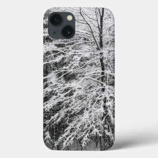 Maple Tree Outlined In Snow iPhone 13 Case