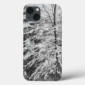 Maple Tree Outlined In Snow iPhone 13 Case