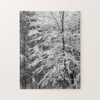 Maple Tree Outlined In Snow Jigsaw Puzzle