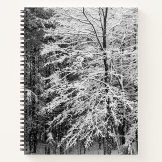 Maple Tree Outlined In Snow Journal