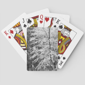 Maple Tree Outlined In Snow Poker Cards
