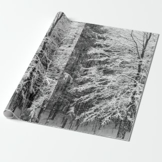 Maple Tree Outlined In Snow Wrapping Paper