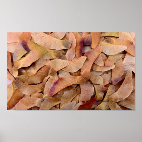 maple tree seeds texture pattern nature background poster