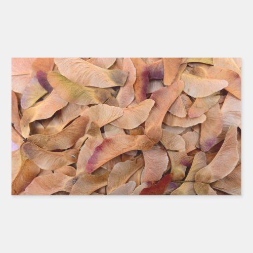 maple tree seeds texture pattern nature background rectangular sticker