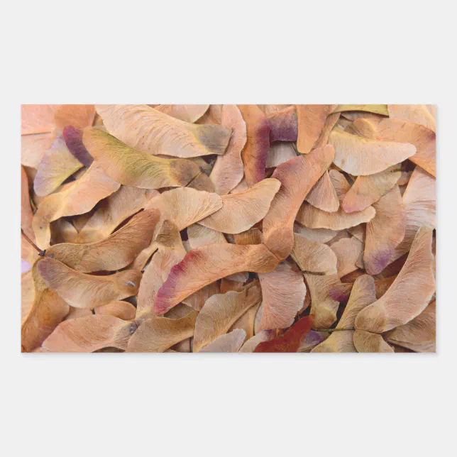 maple tree seeds texture pattern nature background rectangular sticker ...