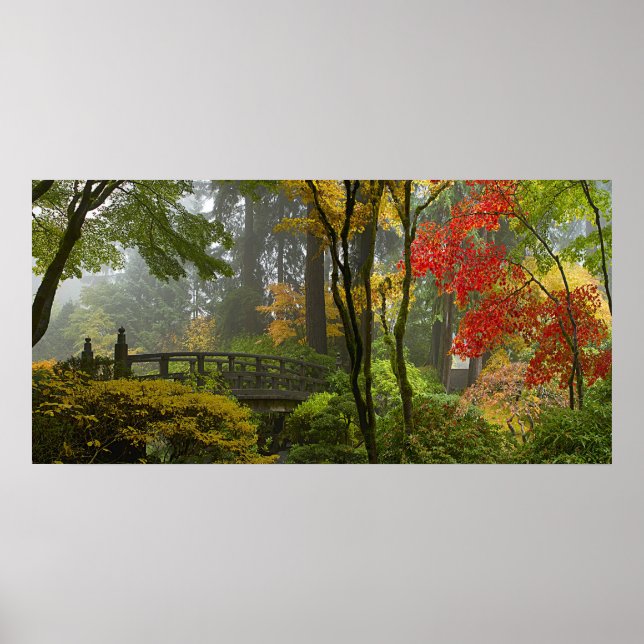 Maple Trees Fall Colors in Japanese Garden Poster (Front)