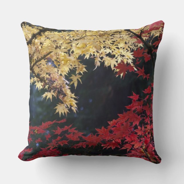 Maple trees in autumn color throw pillow (Front)