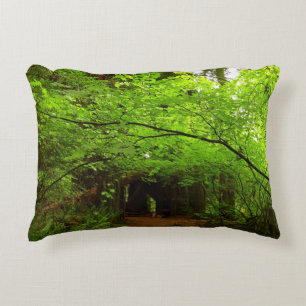 Maple Trees in Redwood Forest Accent Pillow